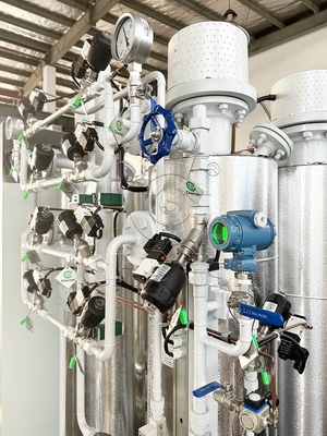 Purificateur de gaz d'azote brillant Moniteur et régulateur du processus de purification de l'azote