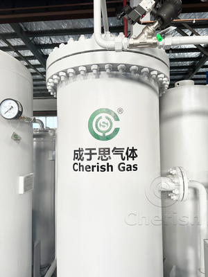 Purificateur de gaz d'azote efficace Générateur de purification d'azote PSA